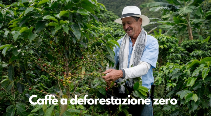 Dal Costa Rica arriva in Italia il primo caffè a deforestazione zero
